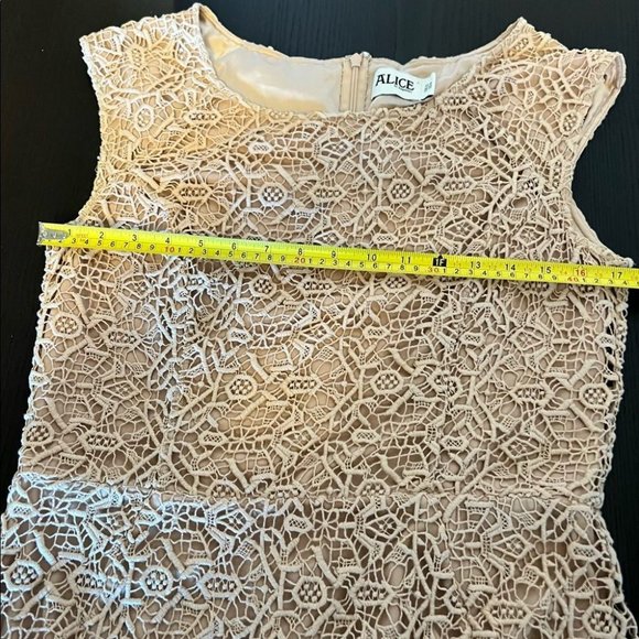 Alice by Temperley crochet laced midi sheath dress - Picture 9 of 13